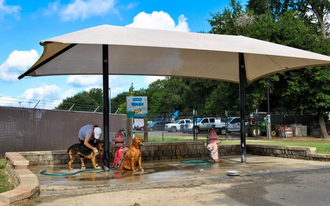Discover Why Shade Structures Are Essential for Dog Parks